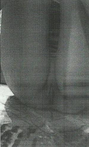 Интимное фото пользователя nice1nice1 в объявлении №8139 на SexKompas