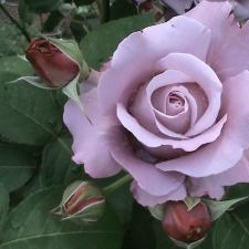 Фотография пользователя Слава Богу (Slawon) на сайте Секс Компас СПб