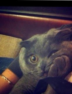 Коля (Niko79), аватарка на СексКомпас СПб