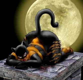 lera2012, аватарка на СексКомпас СПб